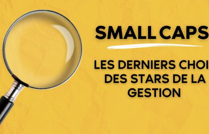 Small Caps – The latest choices of management stars