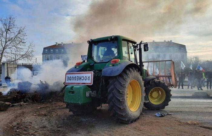 Anger of farmers: the FDSEA announces a blockage this Monday in Avignon