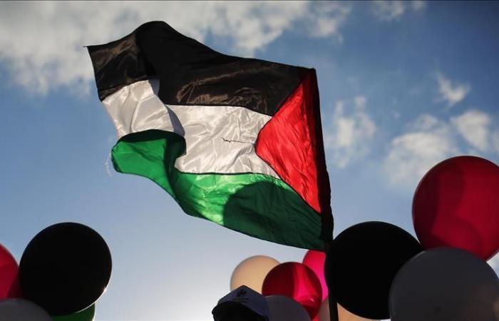 Towards a ban on the Palestinian flag in public institutions