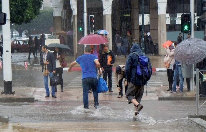 Weather tomorrow Thursday: thunderstorms in these areas