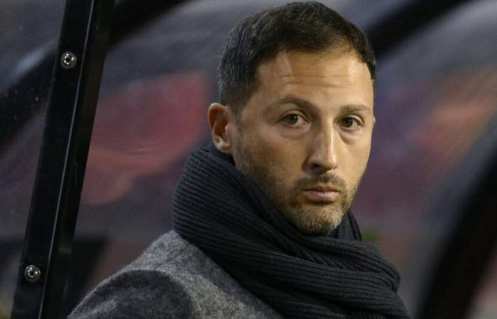 The next setback for Belgium: pressure on Tedesco is growing