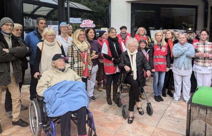 Mobilization of nursing home and home services staff in Savoie