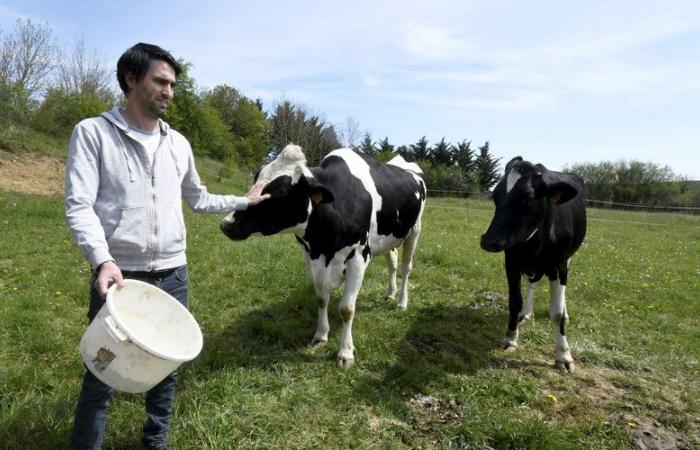 Anger of farmers: after “30 years of standing still” water reservoirs built in Haute-Garonne