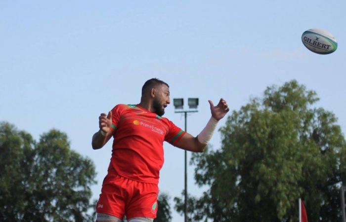 Rugby: Casablanca hosts the African Cup qualifiers from November 18 to 24