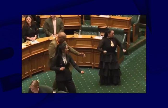 MPs perform a haka in the middle of the chamber to protest against a bill