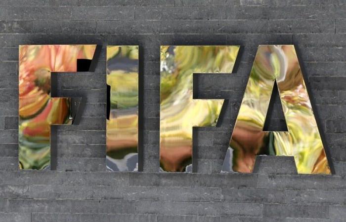 FIFA plans to introduce the use of video for coaches