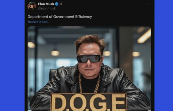 what objectives for the Ministry of “Government Effectiveness” co-led by Elon Musk?