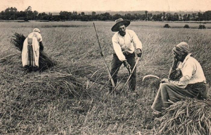 Focus on the countryside of yesteryear