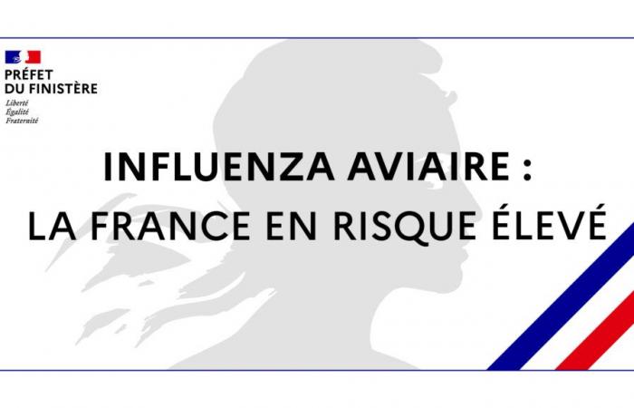 Avian influenza: France has been at high risk since November 9, 2024 – Avian influenza – Animals – State actions