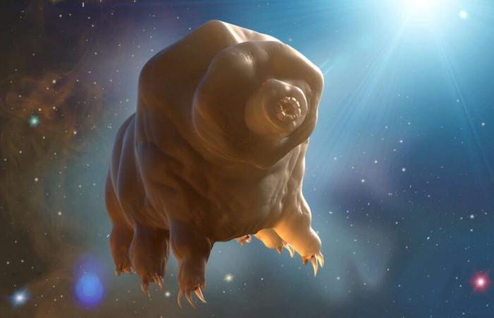 Chinese scientists have made an incredible discovery about tardigrades that could protect us in space