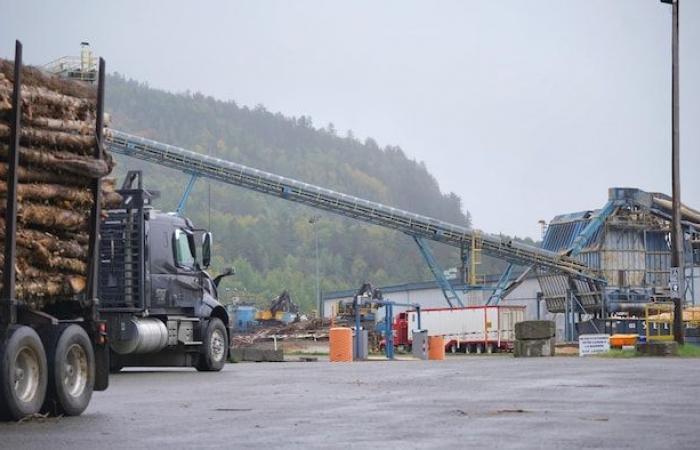 Donald Trump elected: “a risk of closing sawmills in Quebec”