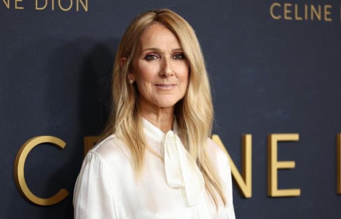 Celine Dion – “I'm starting to believe in clones”, “She's really a diva”, “She's overwhelming. I have tears in my eyes”: the star sings at the Elie Saab fashion show and Internet users go wild