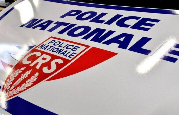 A CRS officer on rest attacked by around fifteen people in Toulouse