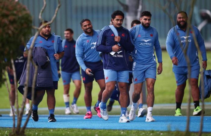 All Blacks. The Polynesians of the XV of France, “we are like brothers”