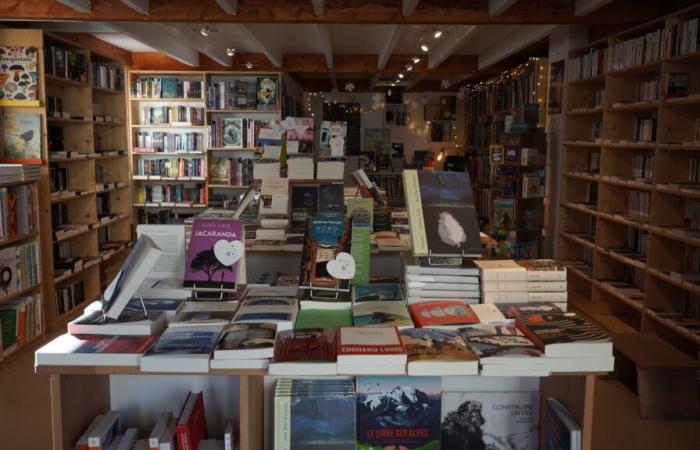 The literary chronicle of the Voyage au bout des livres bookstore