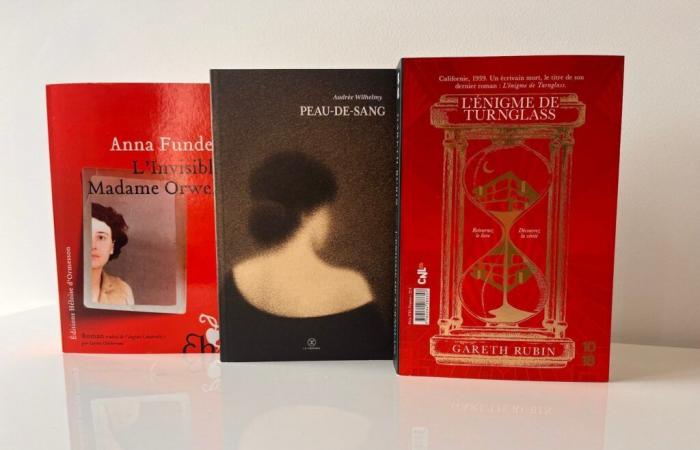 Grand Prix des Readers 2025: the 3 new books selected (2/8)