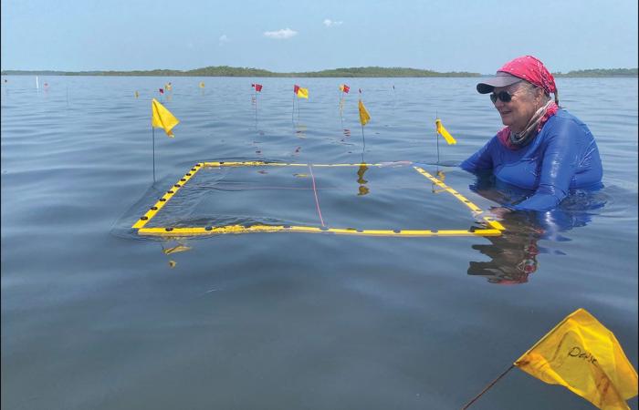 LSU Researchers Excavate Earliest Ancient Maya Salt Works