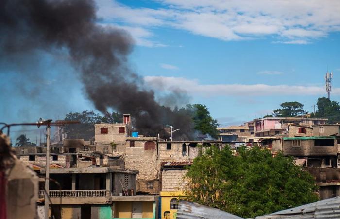 Panic in Port-au-Prince: residents flee violence