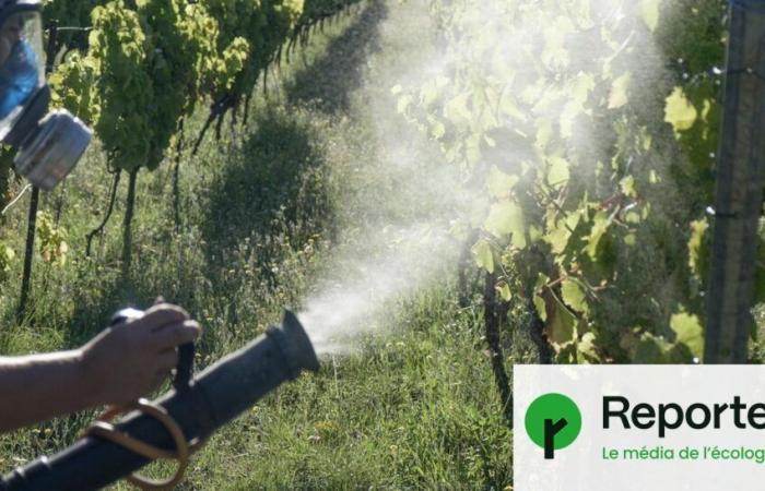 France sued for exporting banned pesticides