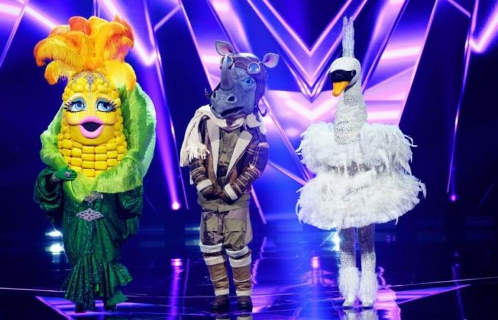 “Masked Singers”, the show that is a real “guilty pleasure”