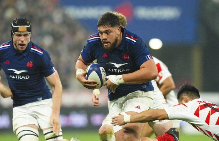 XV of France – Emmanuel Meafou, the massive deterrent weapon for the Blues