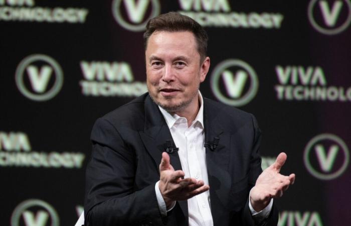 what position will Elon Musk occupy in government?