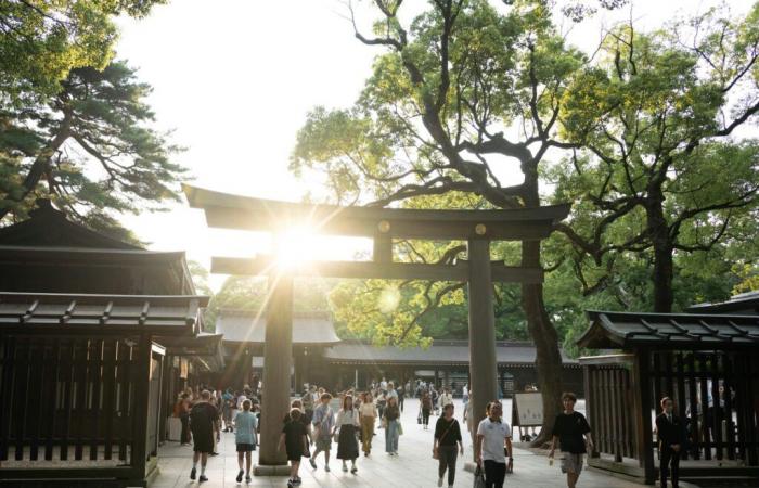 Japanese police arrest US man for allegedly scratching letters into shrine | Tourism News