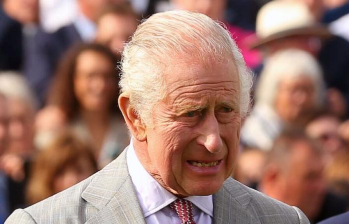 Charles III “in his underwear doing a handstand”, Harry reveals a little-known side of him