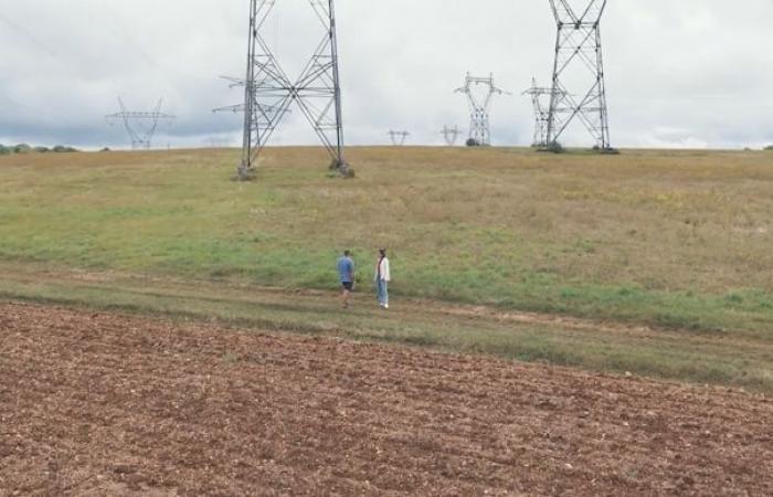 Solar trackers and field crops in Côte-d’Or