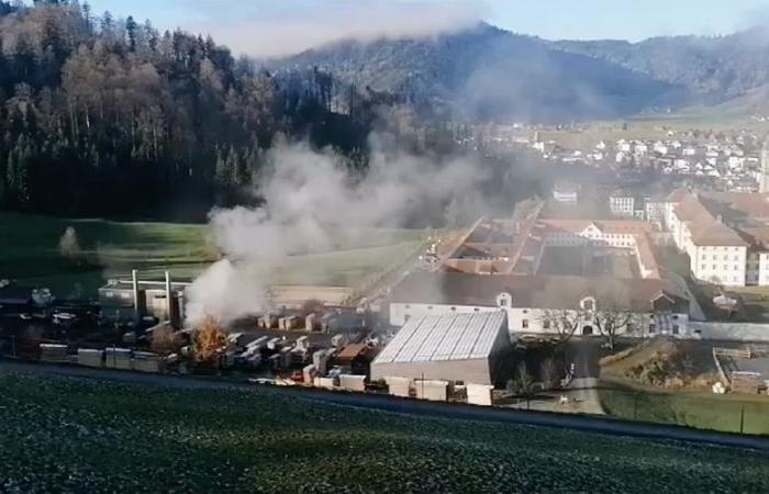 Another fire in the Einsiedler schnitzel plant