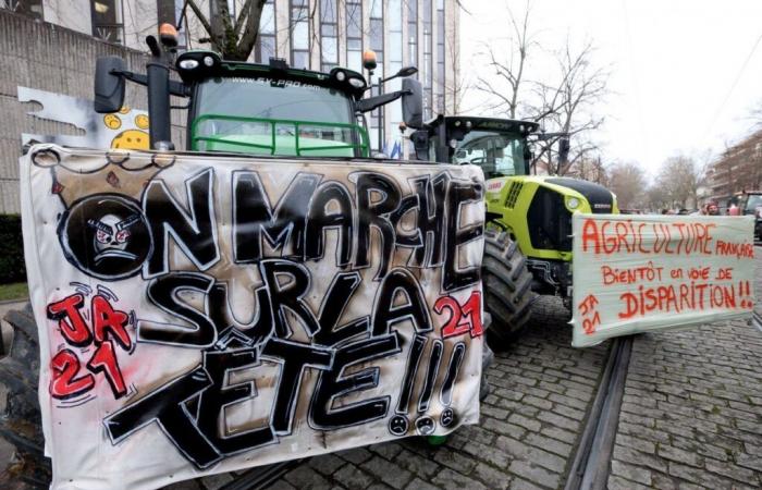 CÔTE-D'OR: Resumption of the farmers' social movement