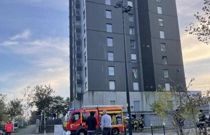 Start of fire on the thirteenth floor of a tower in Nantes: firefighters mobilized