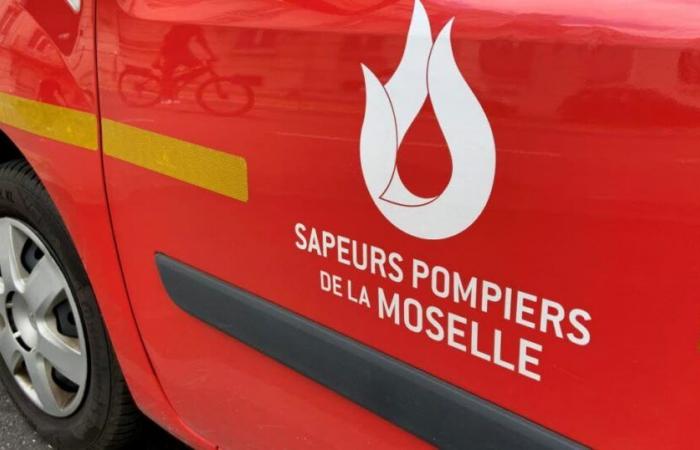 Metz. A wooden chalet catches fire in La Grange-aux-Bois: a couple relocated