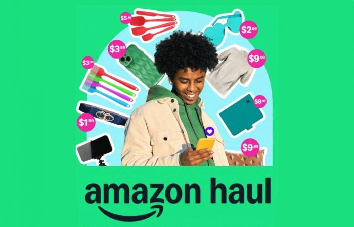 Amazon launches “Haul”, its application which cuts prices against Temu and Shein