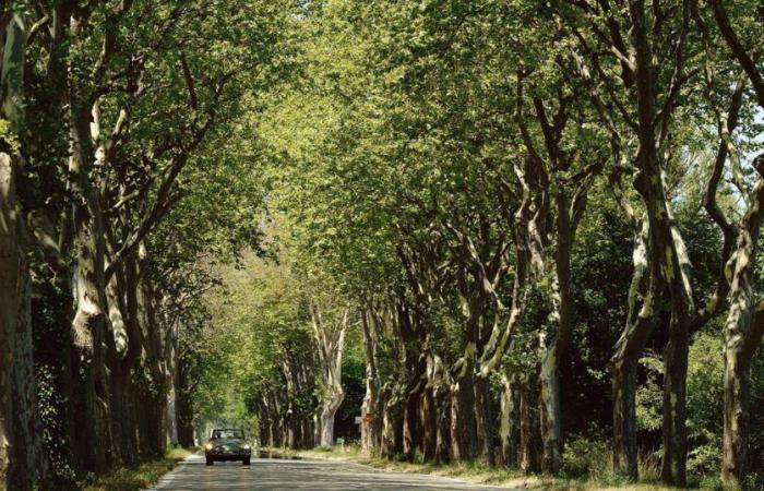 a loving and joyfully nostalgic evocation of a vanished France