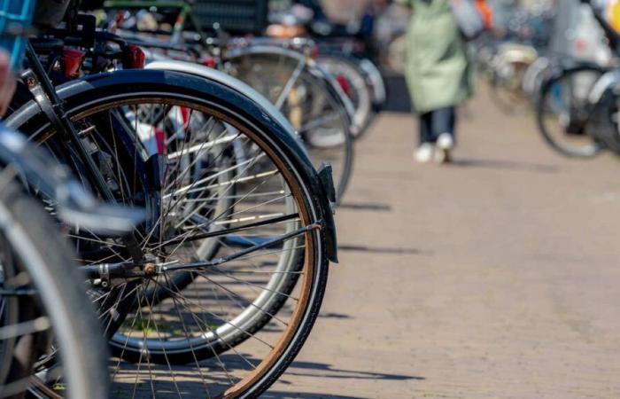 Development of cycling: Val-d'Oise, in the lead in the greater suburbs