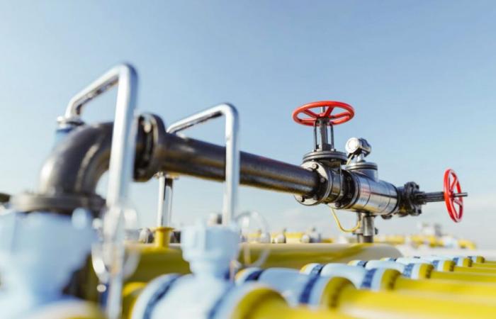 Tunisia – Bizerte: Acceleration of the natural gas supply project