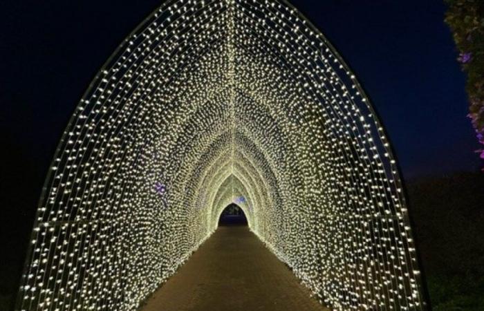 Lightscape, ZooLights, Ice Skating – NBC Chicago