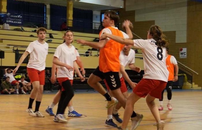 University Sport: 3 gold medals in Basketball, Football and Handball for Le Creusot students