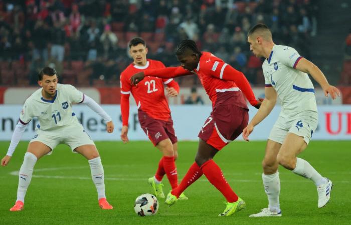 LIVE: Mitrović misses the penalty, Petrović saves Serbia