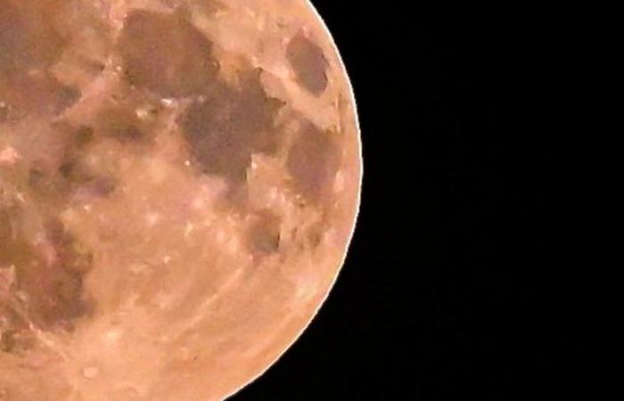 The super Beaver Moon is this evening: where, when, how… know everything so you don’t miss anything of the phenomenon to observe this Friday