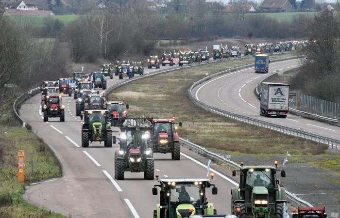 threatened by Mercosur, where will farmers express their anger in Franche-Comté?