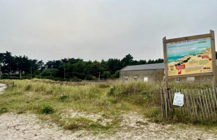 the scourge of theft of fences protecting the dune in this Loire-Atlantique resort