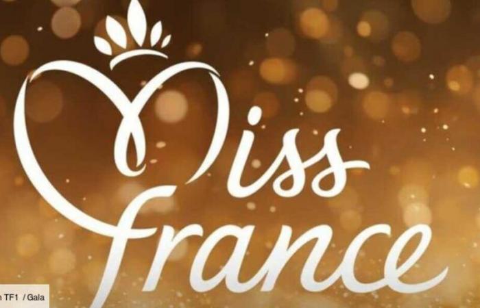 PHOTOS – Miss France 2025: discover the official portraits of the 30 regional Misses