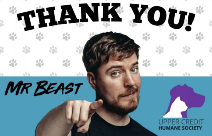 YouTube superstar MrBeast donates to local humane society