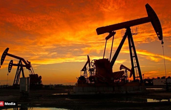 According to the International Energy Agency: global oil surplus predicted for 2025