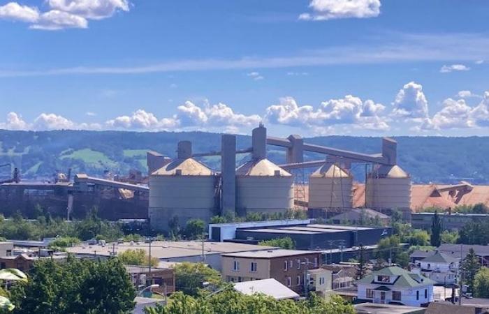 Artist Vicky Côté castigates Rio Tinto for refusing to beautify its silos in La Baie