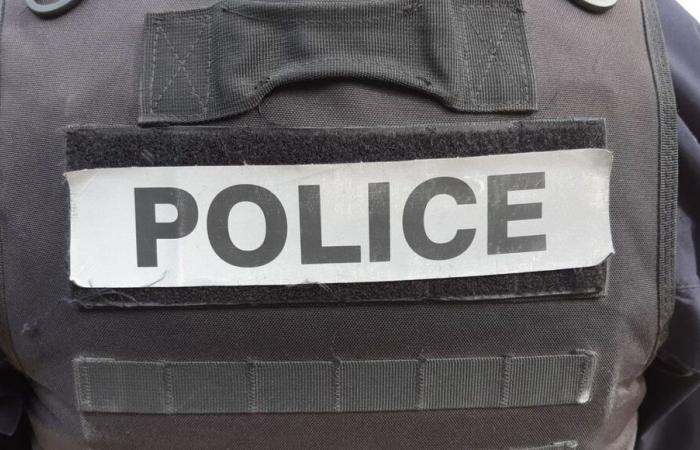 Essonne: a police officer seriously injured with a hatchet, five people arrested