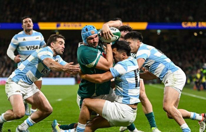 Autumn tour – Argentina narrowly falls in Ireland before facing the Blues