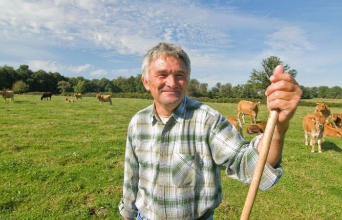 Several farm takeover offers proposed by the Dordogne Chamber of Agriculture.